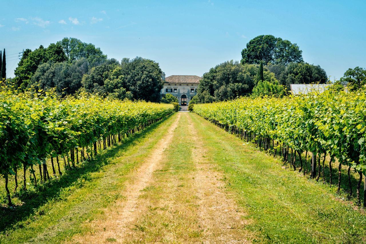 Relais Villa Sagramoso Sacchetti Verona Eksteriør bilde