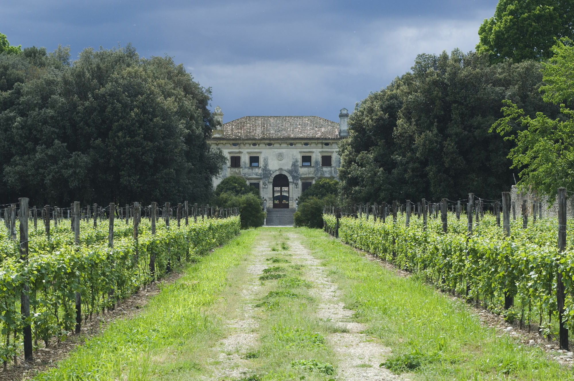 Relais Villa Sagramoso Sacchetti Verona Eksteriør bilde